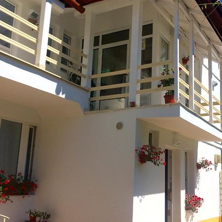 Suri Guesthouse Brašov Exteriér fotografie
